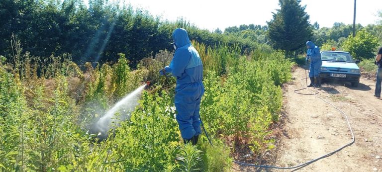 Ένα κρούσμα από το ιό του Δυτικού Νείλου στη Δράμα