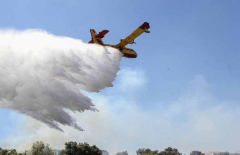 Φωτιά τώρα στη Σαλαμίνα – Επιχειρούν 2 αεροσκάφη και 1 ελικόπτερο