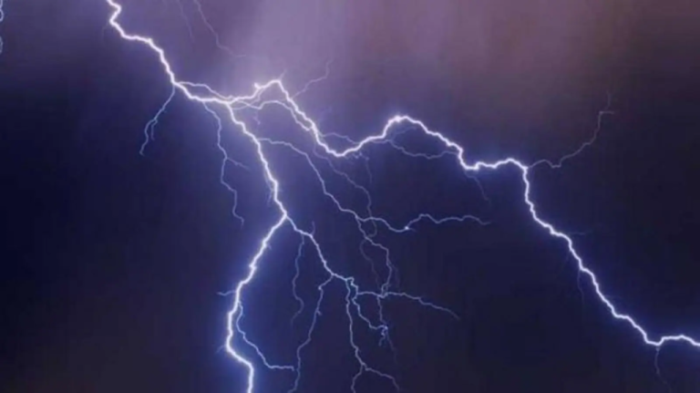 Κακοκαιρία : Τέσσερις πυρκαγιές ταυτόχρονα από κεραυνούς – Καίγεται δάσος – Πού επιχειρούν τα εναέρια μέσα