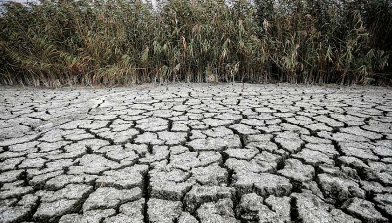 Κραυγή αγωνίας από τους αγρότες της Αττικής για την λειψυδρία: Ζητούν άμεσα μέτρα