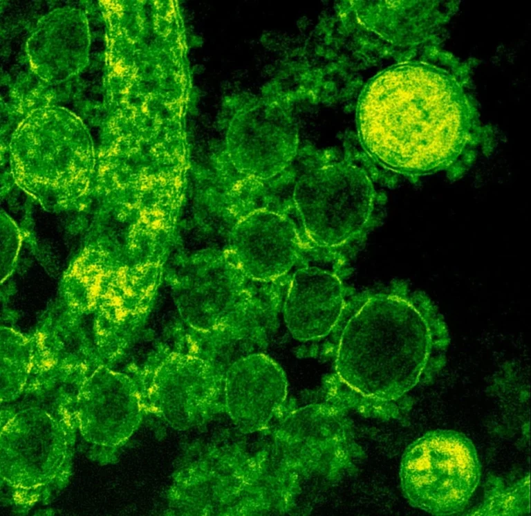 ΠΟΥ / Προειδοποιεί για ένα «υπερμολυσματικό» υπερ-βακτήριο