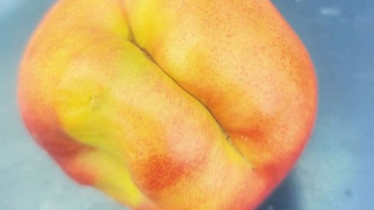 Το «μυστήριο» με τα παραμορφωμένα ροδάκινα και νεκταρίνια εξαπλώνεται σε 10 χιλιάδες στρέμματα