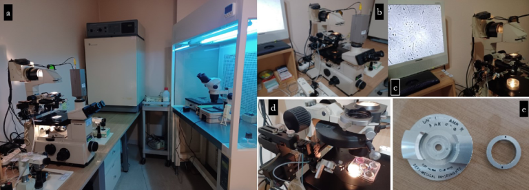 Αυτοσυναρμολόγηση σε πραγματικό χρόνο στερεομικροσκοπικά ορατών τεχνητών κατασκευών σε επωασμένα δείγματα προϊόντων mRNA κυρίως από τις εταιρείες Pfizer και Moderna: Μια ολοκληρωμένη διαχρονική μελέτη