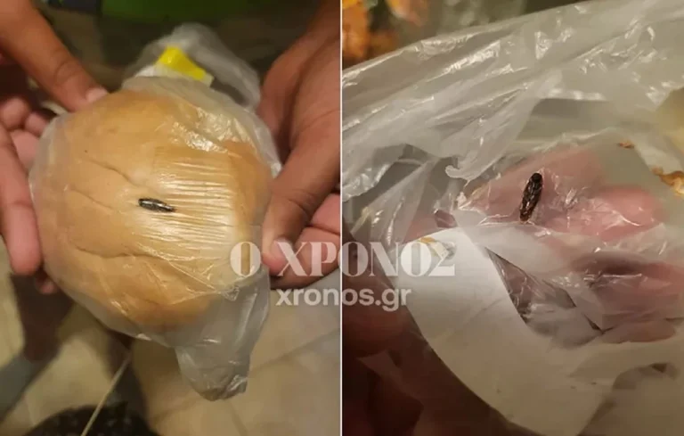 Μαθήτρια στην Κομοτηνή βρήκε κατσαρίδα μέσα στο ψωμί του σχολικού γεύματος – Ανατριχιαστικές εικόνες