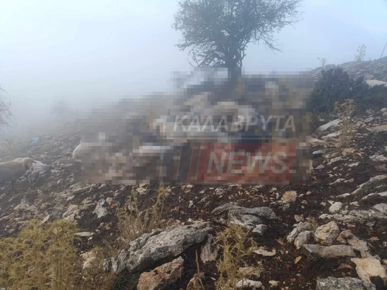 Καλάβρυτα: 48 Πρόβατα βρήκαν τραγικό θάνατο από κεραυνό
