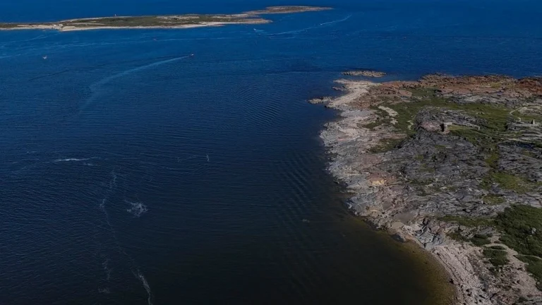 Μυστηριώδης «ζύμη» ξεβράζεται σε παραλίες του Καναδά – Οι εικασίες των αξιωματούχων
