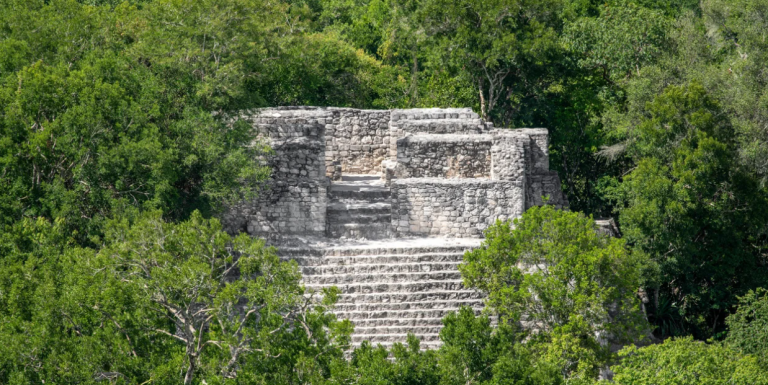 Φοιτητής βρήκε τεράστια πόλη των Μάγια… κατά λάθος, χαμένη στη ζούγκλα -Με πυραμίδες και γήπεδα!