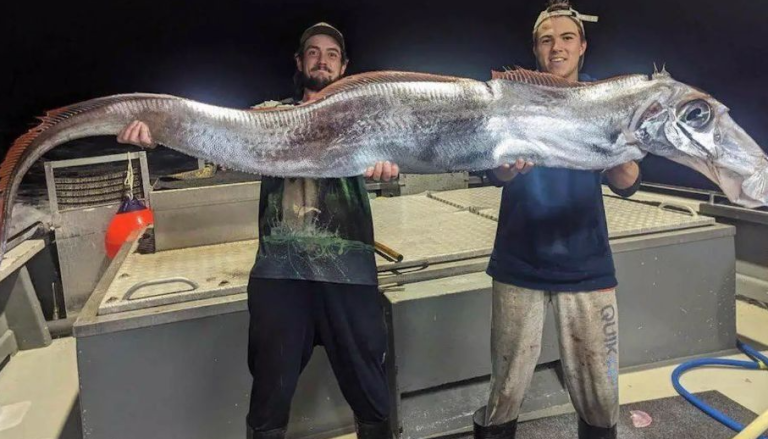 Ψαράδες έπιασαν το «ψάρι της Αποκάλυψης» – Τι φέρνει η εμφάνισή του