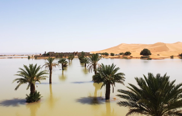 Σπάνια καταιγίδα στη Σαχάρα πλημμύρισε λίμνη που ήταν ξερή για 50 χρόνια – Εντυπωσιακές εικόνες