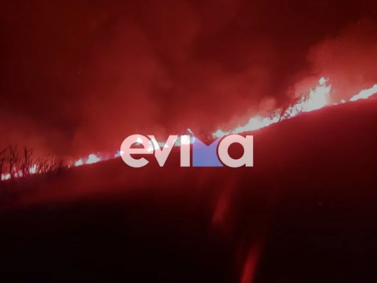 Εύβοια: Μεγάλη φωτιά στους Τσακαίους – Επιχειρούν ισχυρές δυνάμεις της Πυροσβεστικής