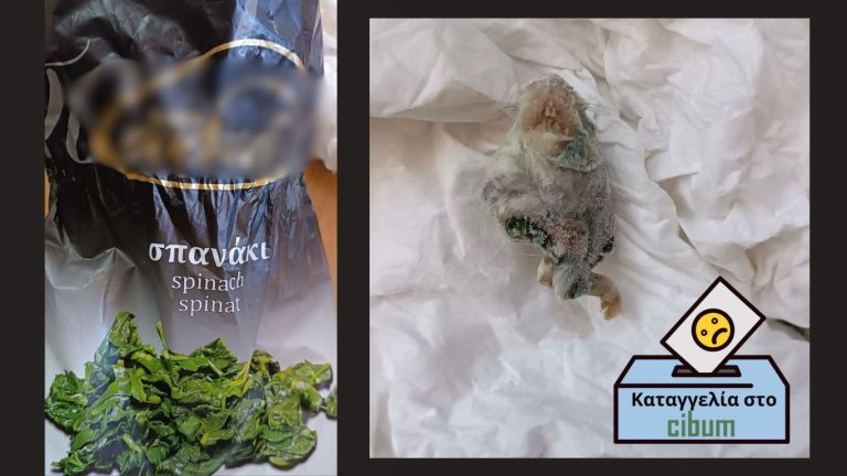 Ποντίκι σε Ελληνικό κατεψυγμένο σπανάκι γνωστής εταιρείας – Επώνυμη καταγγελία στο cibum