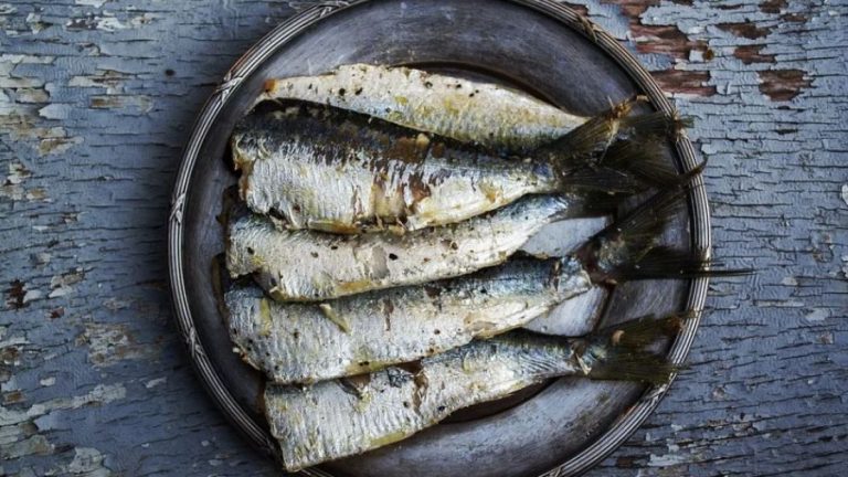 Ψάρια: 67 άνθρωποι με τροφική δηλητηρίαση από το παράσιτο Opisthorchis felineus