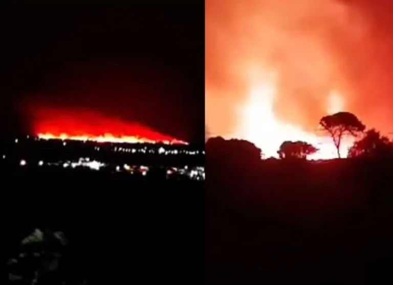 Μεγάλη φωτιά ΤΩΡΑ – Καίγεται παpθένο δάσος μέσα στη νύχτα – Συναγερμός στην Πυροσβεστική