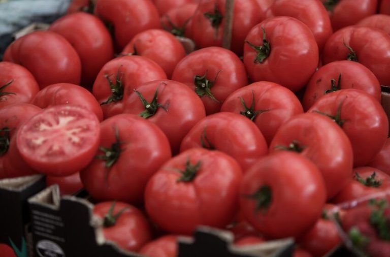 «Εκτοξεύεται» η τιμή της ντομάτας λόγω της κλιματικής κρίσης