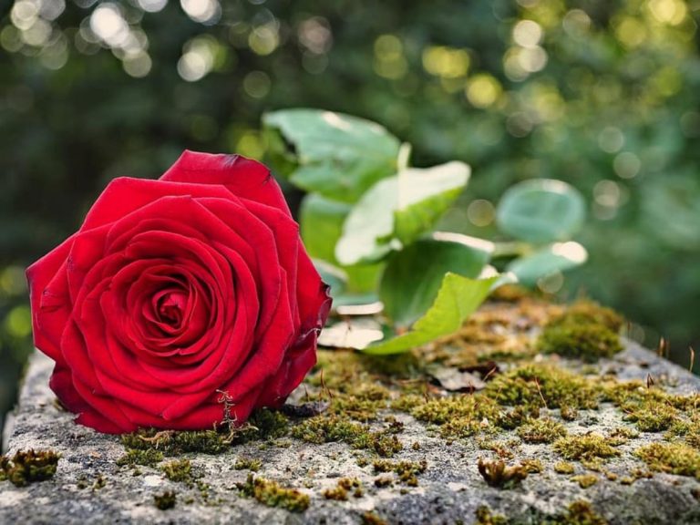 Σοκαρισμένη η Λάρισα: Πέθανε 20χρονη από τον Τύρναβο – Εξέπνευσε στο νοσοκομείο