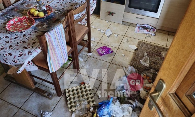 Εύβοια: Από την Μπαρτσελόνα δολοφόνος στην Κύμη – Η πορεία του 29χρονου μπασκετμπολίστα Κ.Σ.