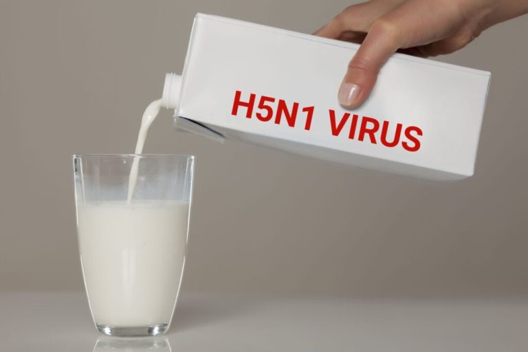 Για πρώτη φορά: Παιδί αρρώστησε από γάλα μολυσμένο με γρίπη των πτηνών