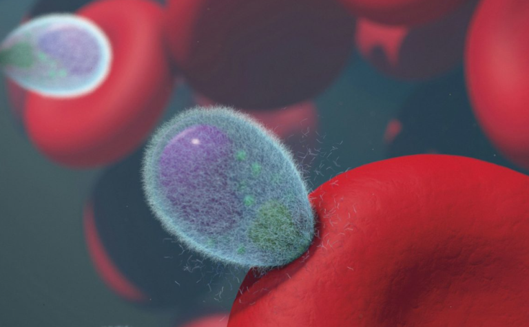 Σήμα κινδύνου από τους επιστήμονες: Τι είναι η «ζωή καθρέφτης» που απειλεί την ανθρωπότητα