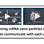 ΠΑΕΙ ΚΑΙ ΑΥΤΗ Η ΣΥΝΩΜΟΣΙΑ: Τα νανοσωματίδια mRNA του Covid-19 εκπέμπουν φωτεινά σήματα που επικοινωνούν για την αυτοσυναρμολόγηση στα αιμοφόρα αγγεία