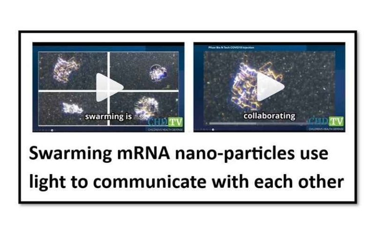 ΠΑΕΙ ΚΑΙ ΑΥΤΗ Η ΣΥΝΩΜΟΣΙΑ: Τα νανοσωματίδια mRNA του Covid-19 εκπέμπουν φωτεινά σήματα που επικοινωνούν για την αυτοσυναρμολόγηση στα αιμοφόρα αγγεία