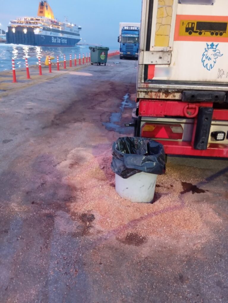 Υγειονομική βόμβα: Είχαν αφήσει 20 τόνους κρέατος να σαπίζει στο λιμάνι του Πειραιά