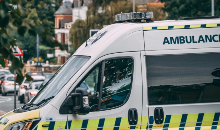 Αδιανόητο σκηνικό: 45χρονος πέθανε προσπαθώντας να βιάσει μια αγελάδα στο χωράφι του