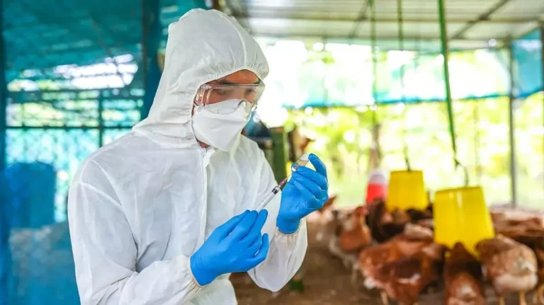 Πρώτος θάνατος ανθρώπου εξαιτίας της γρίπης των πτηνών στις ΗΠΑ