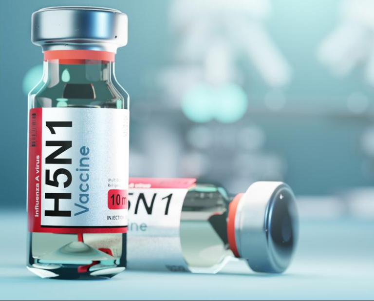 Έρχονται τα πρώτα 6.000 εμβόλια κατά του ιού της γρίπης των πτηνών