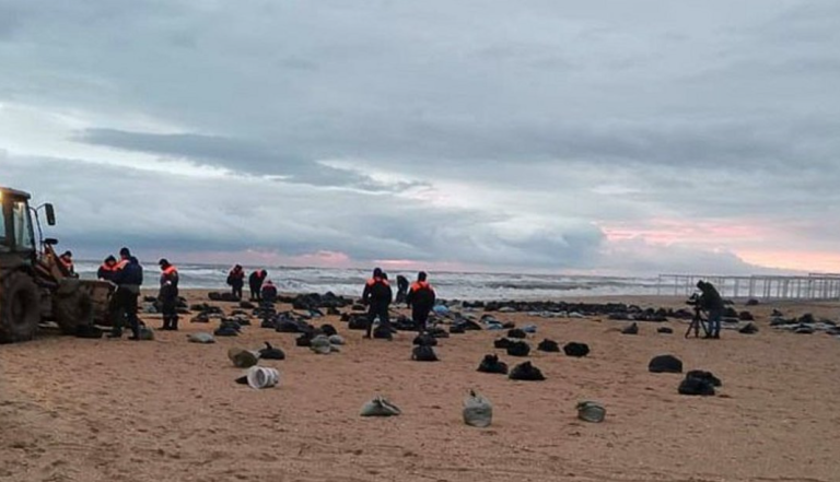 Νεκρά 30 δελφίνια μετά την πετρελαιοκηλίδα από τη βύθιση τάνκερ στη Μαύρη Θάλασσα