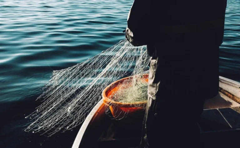 Οι Κυκλάδες «καταπίνουν» τα ψάρια σε Πατραϊκό και Ιόνιο – Η σύνδεση με το σεισμικό φαινόμενο