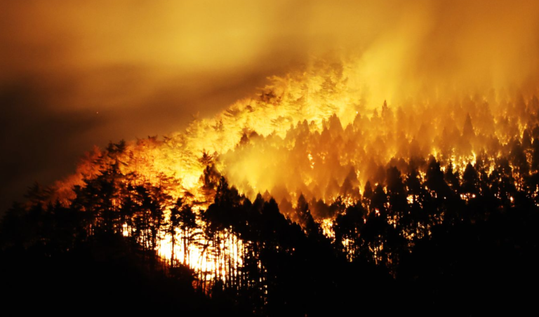 Συναγερμός στην Ιαπωνία: Ανεξέλεγκτα καίει για πέμπτη ημέρα η χειρότερη δασική πυρκαγιά των τελευταίων 50 χρόνων