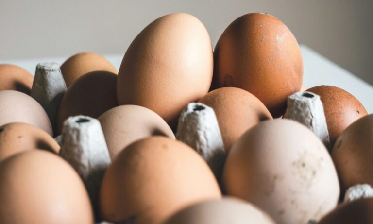 Ανιχνεύθηκαν επικίνδυνες για την υγεία ουσίες σε ελληνικά αυγά από κοτέτσια