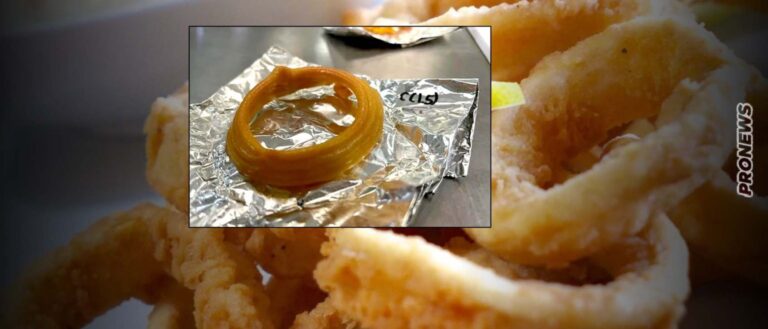 Σιγκαπούρη: Έφτιαξαν τεχνητό καλαμαράκι από τρισδιάστατο εκτυπωτή! – Οι συνθετικές τροφές είναι γεγονός