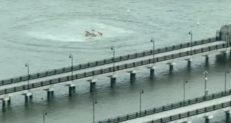 Συναγερμός στη Νέα Υόρκη: Ελικόπτερο συνετρίβη στον ποταμό Χάντσον