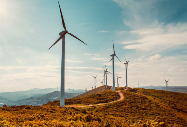 Τι είναι οι ανεμογεννήτριες; – Σκουπίδια μεταμφιεσμένα σε πρόοδο – Δημιουργούν νεκρές ζώνες, εξαφανίζοντας τα πάντα