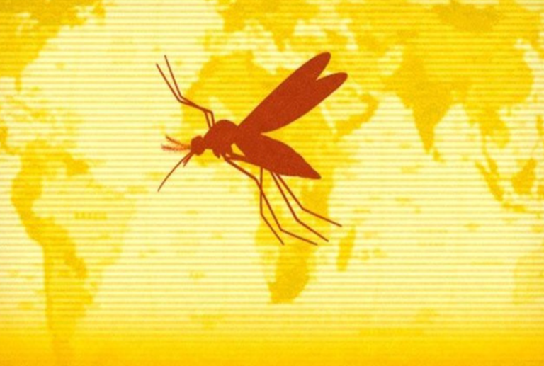 Συναγερμός στην Κολομβία λόγω κρουσμάτων και θανάτων από τον ιό κίτρινου πυρετού