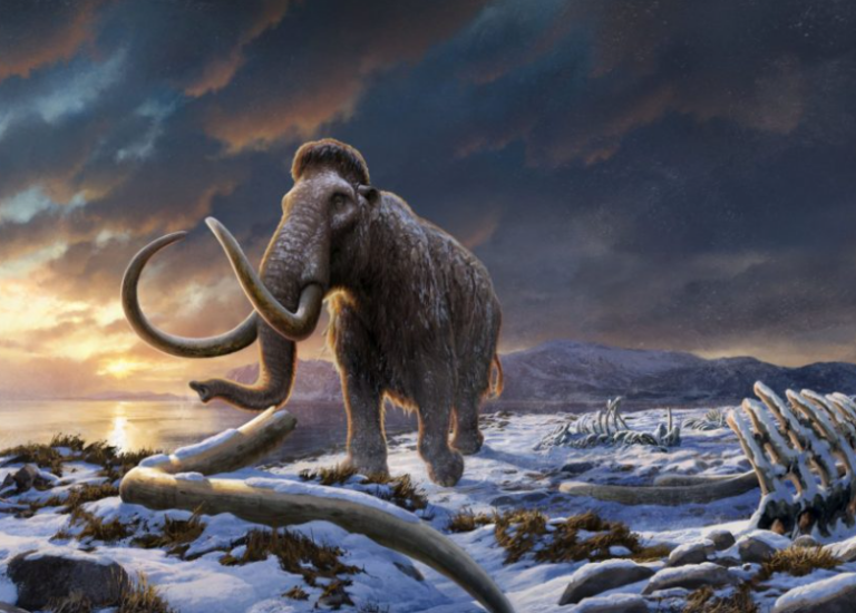 Ο ιός «mammothpox» που μπορεί να αναδυθεί από ένα παγωμένο κουφάρι προϊστορικού ζώου και να απειλήσει την ανθρωπότητα