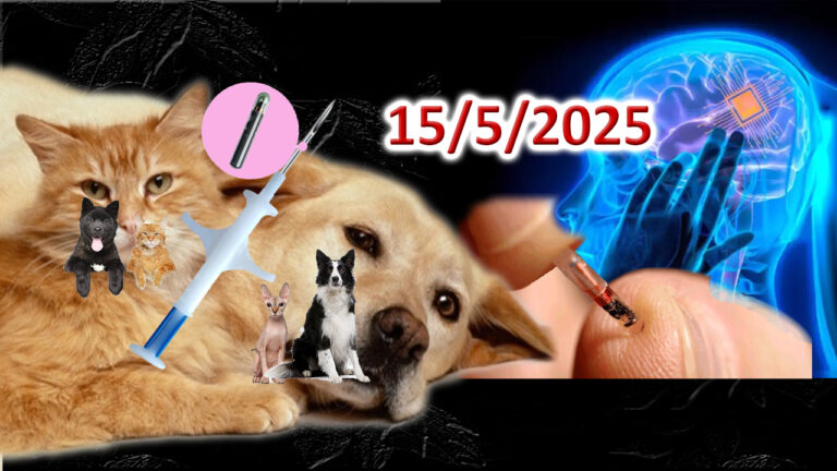 Πρῶτα σφραγίσαμε τὰ ζῶα καὶ μετά…