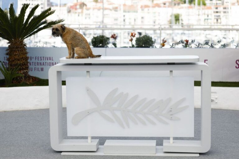 Μπλακ άουτ στη νοτιοανατολική Γαλλία – Σταμάτησαν οι προβολές στις Κάννες