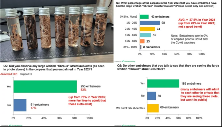 Ένα νέο φαινόμενο εμφανίστηκε το 2021 μετά τον εμβολιασμό Covid: 250 ταριχευτές σε όλο τον κόσμο αναφέρουν λευκούς ελαστικούς θρόμβους ως αιτία θανάτου σε ποσοστό 27,5% των πτωμάτων!