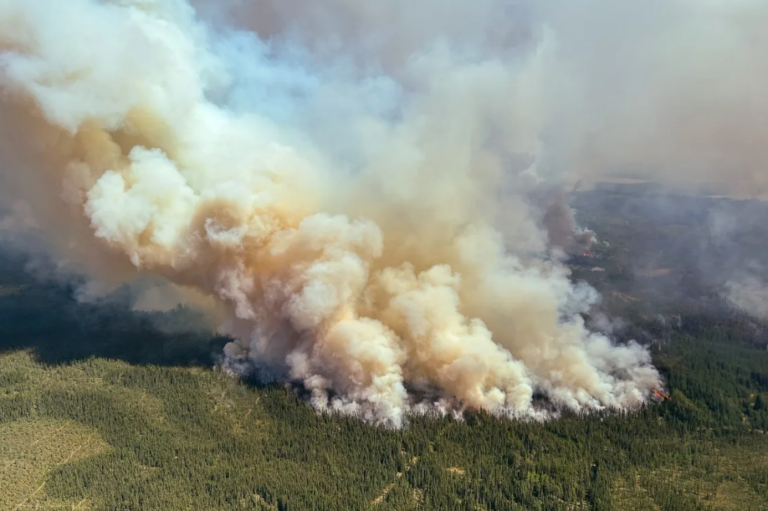 Καναδάς: Δεκάδες πυρκαγιές συνεχίζουν να καίνε παρθένα δάση