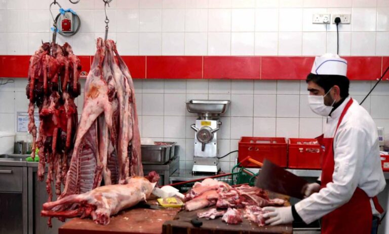 Συναγερμός στη Γαλλία: Νεκρό 11χρονο από E. coli – Έρευνες σε κρεοπωλεία για τη μολυσμένη πηγή