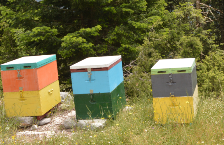 ΟΠΕΚΕΠΕ: Βούτηξαν το δάχτυλο στο «μέλι» και φεύγουν – Μαζικές ανακλήσεις αιτήσεων υπό τον φόβο ελέγχων