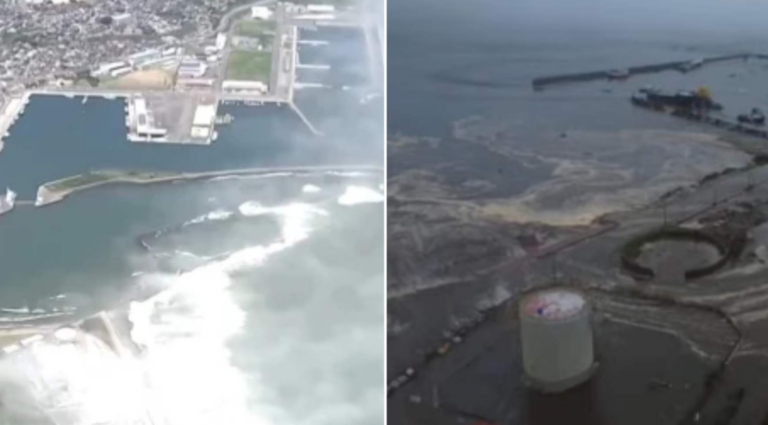 Φάλαινες ξεβράστηκαν στην πόλη Τατεγιάμα στην Ιαπωνία μετά τα 8,7 Ρίχτερ