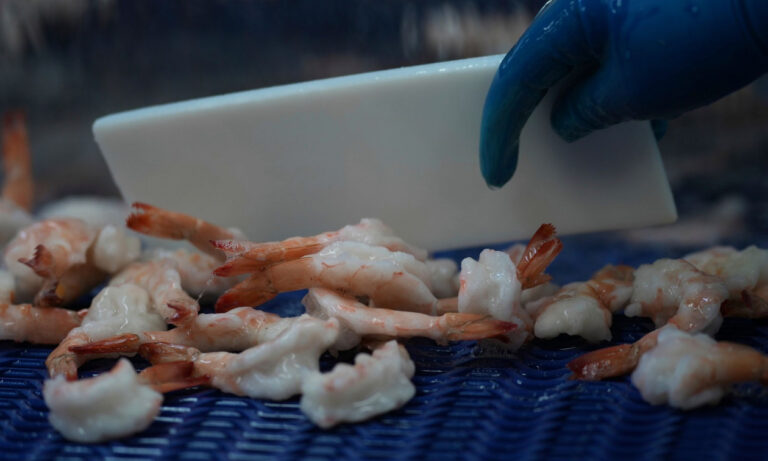 ΗΠΑ: Ραδιενεργές… γαρίδες σε ράφια σούπερ μάρκετ – Ανακλήσεις προϊόντων σε 19 πολιτείες