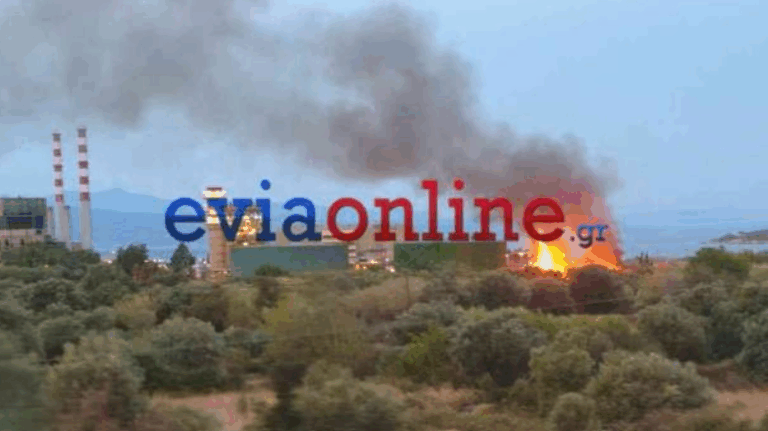 Φωτιά στην Εύβοια – Καίει δίπλα στο εργοστάσιο της ΔΕΗ στο Αλιβέρι