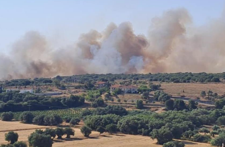 Φωτιά τώρα στην Κεφαλονιά, εκκενώνονται τρία χωριά κοντά στο Αργοστόλι – Μήνυμα 112 για απομάκρυνση