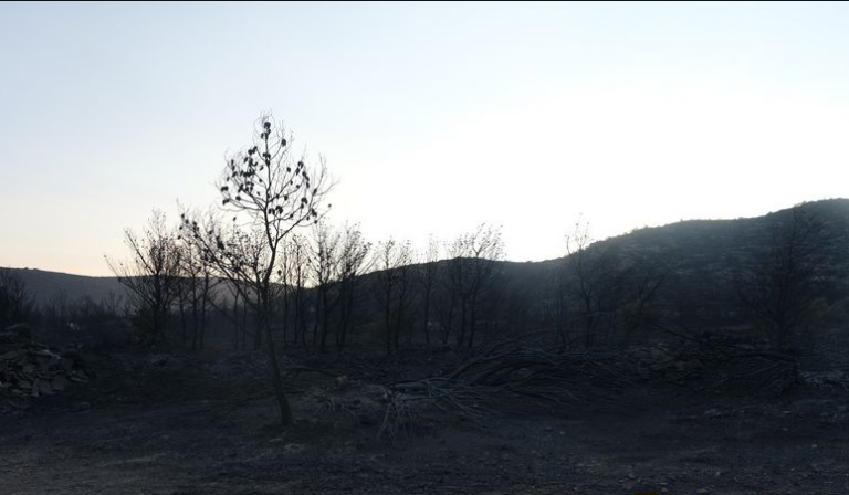 Η επόμενη μέρα στα καμένα της Κερατέας