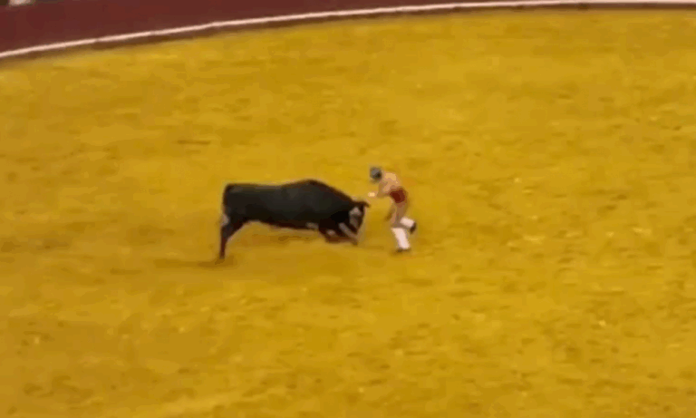 Διπλή τραγωδία στη Λισαβόνα: 22χρονος ταυρομάχος σκοτώθηκε σε αρένα – Νεκρός και ένας θεατής από το σοκ