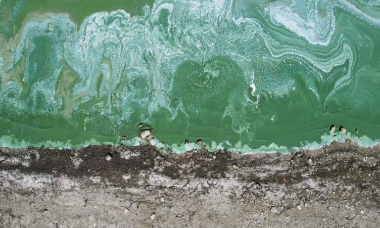 Πρασίνισε η λίμνη Τέρκος, η μεγαλύτερη πηγή πόσιμου νερού της Κωνσταντινούπολης